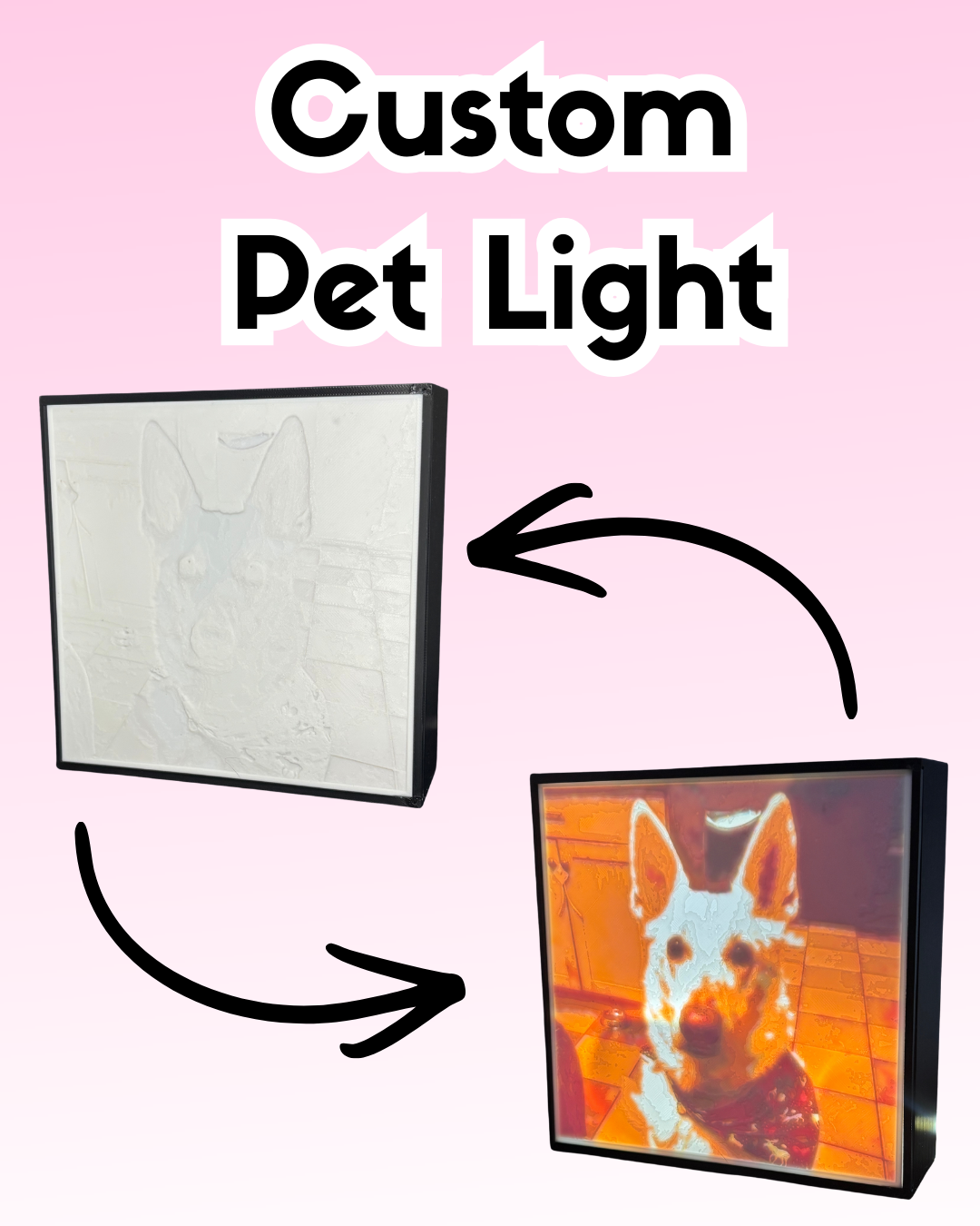 Custom 3D Pet Lightbox - Personalized LED Display